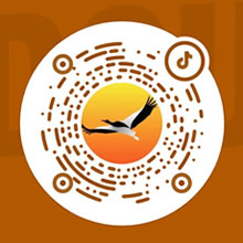 威宁鹤都网抖音二维码